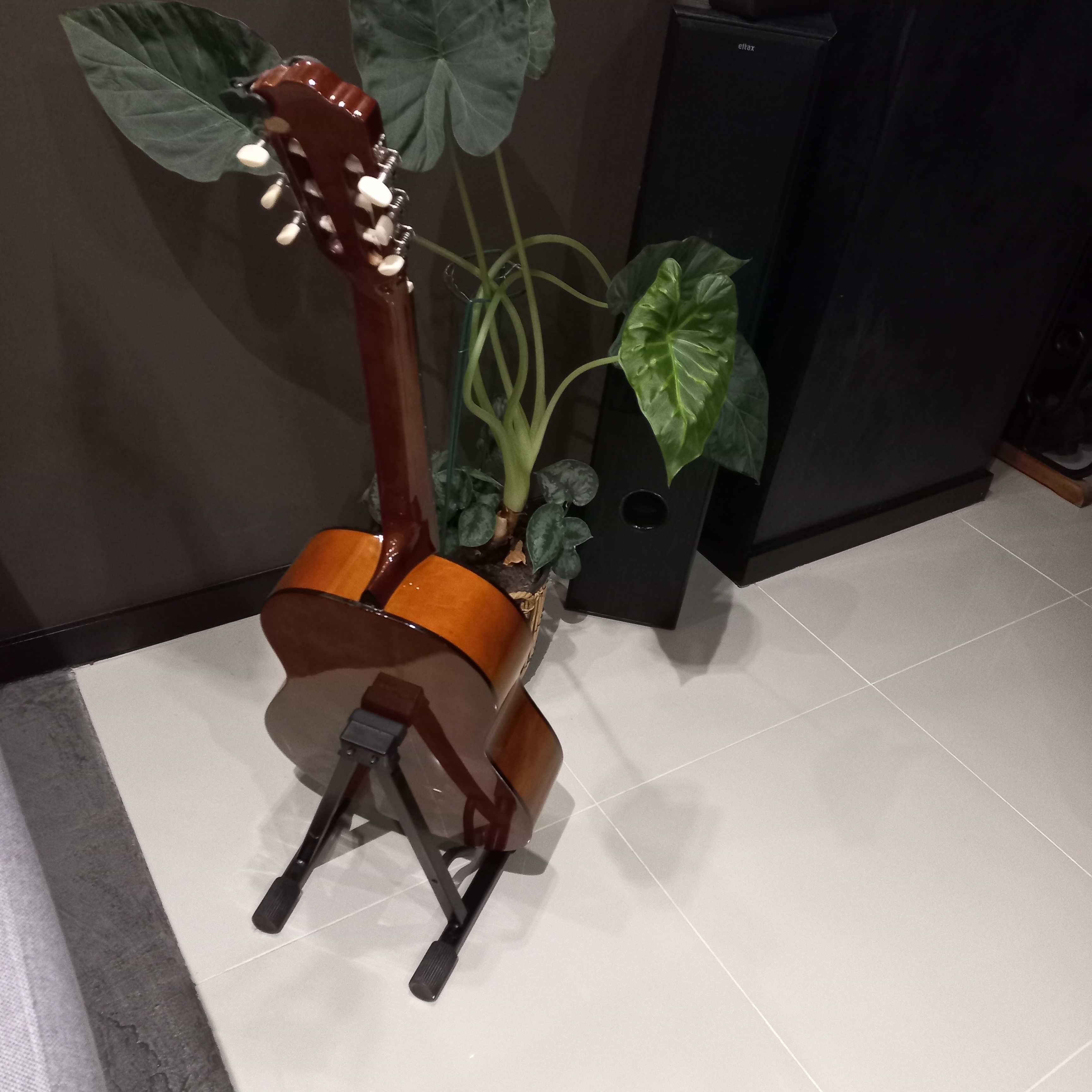 Gitara wraz ze stojakiem i stroikiem