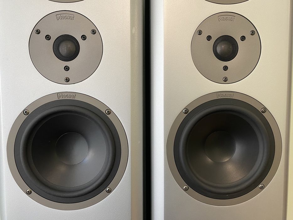 Акустика колонки Magnat Vector 55