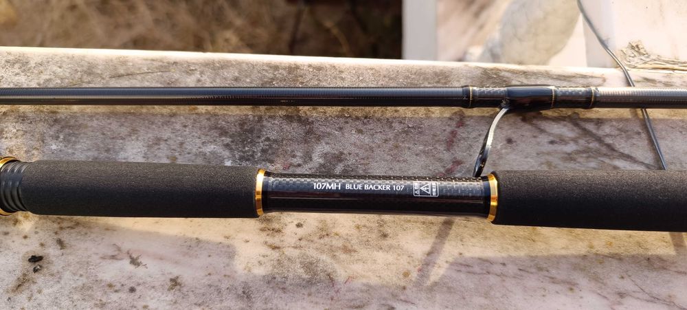 Cana Spinning Daiwa Morethan AGS 107MH