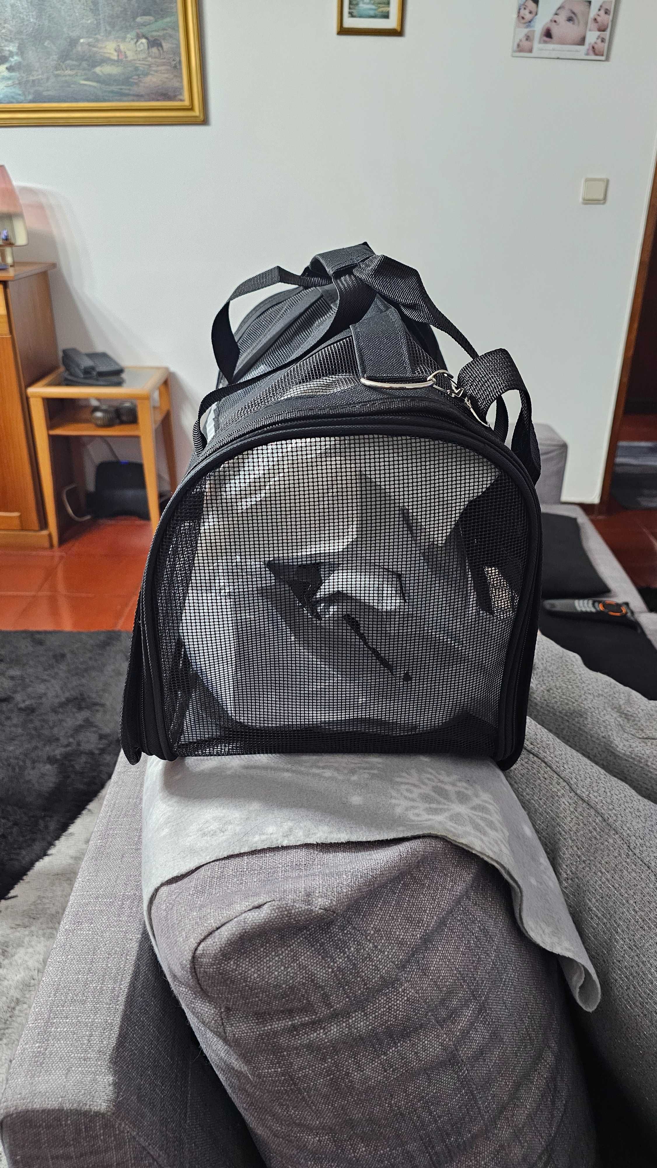 Transportadora Animais