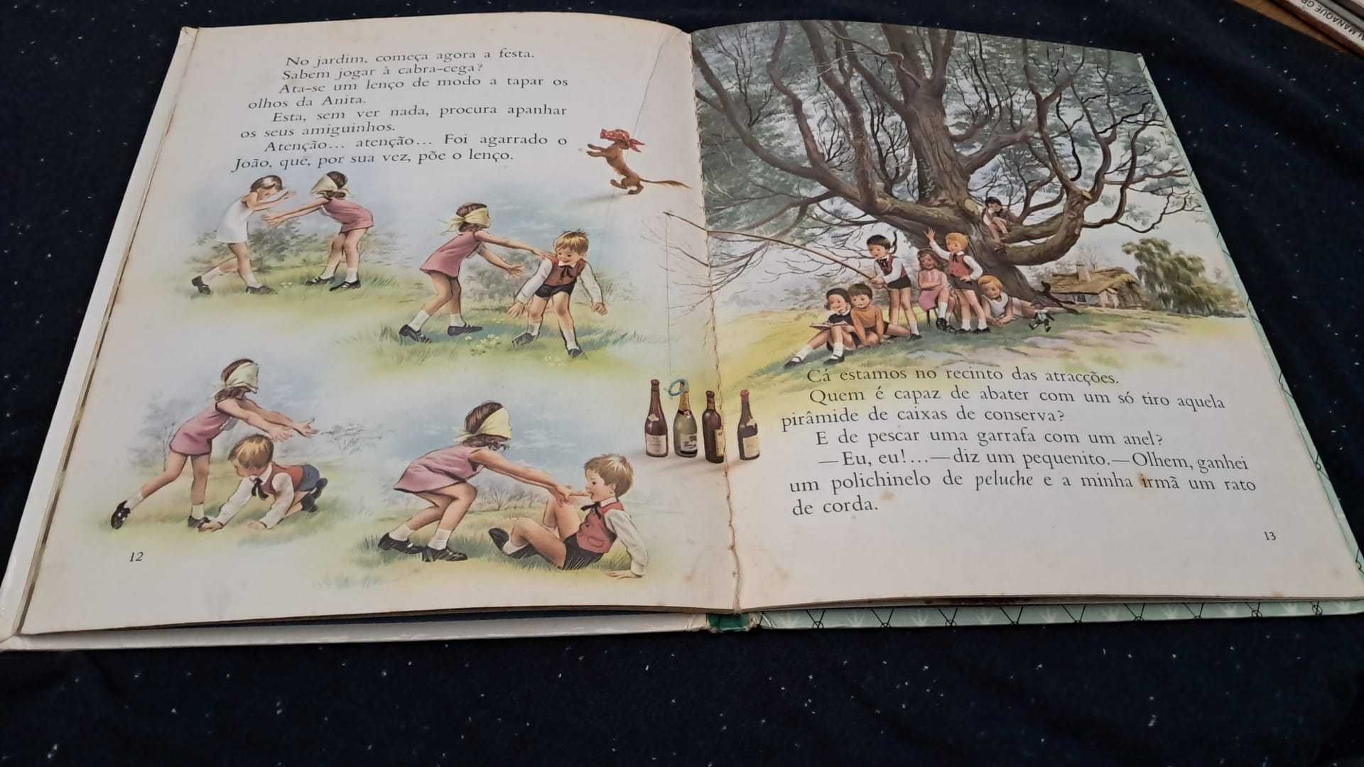 Livro Infantil "Anita e a festa de anos" - Volume 38