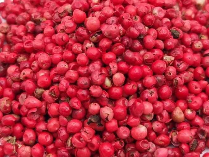 Pimenta Rosa - Schinus terebinthifolius