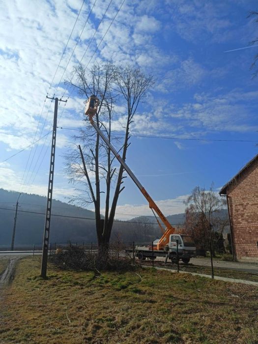 Zwyżka podnośnik koszowy, malowanie mycie dachów wycinka drzew rębak