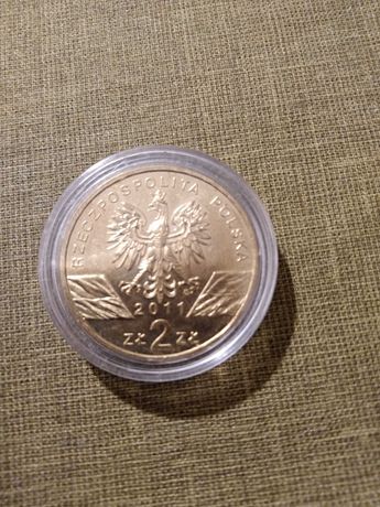 Moneta 2 zł borsuk