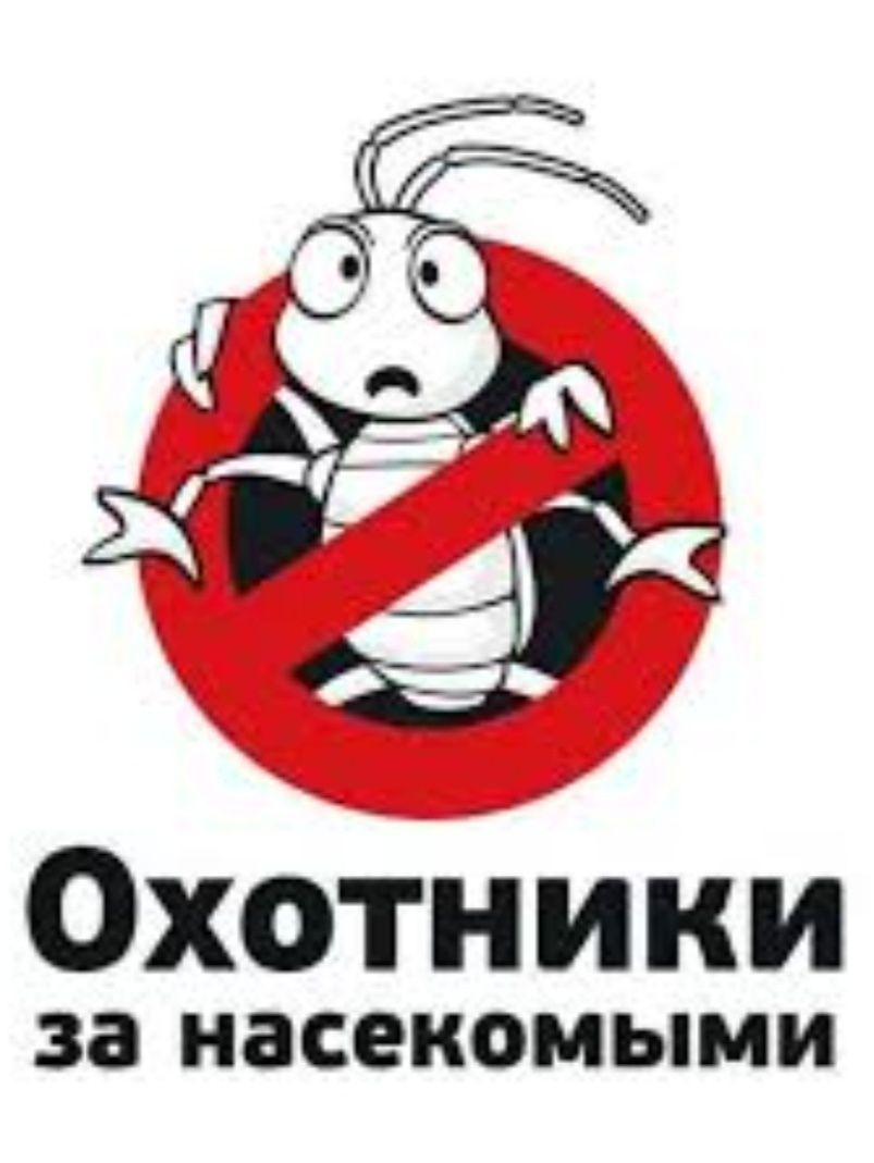 Дезинсекция Киев, уничтожение клопов, тараканов, грызунов, гарантия.