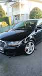 Audi a3 8P 1.9 TDI