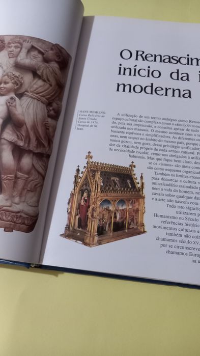 O despertar do renascimento coleção TAM