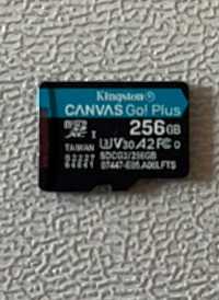 Карта пам'яті Kingston 256GB Canvas Go! Plus Class 10