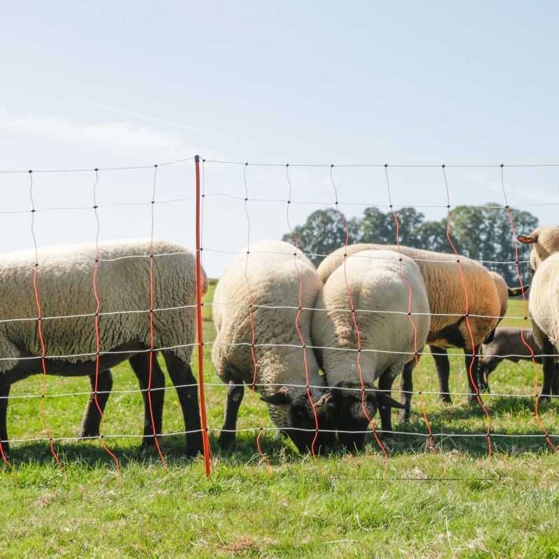 Siatka dla owiec elektryczna OviNet 50m, 90 cm, poj szpic pomarańczowy