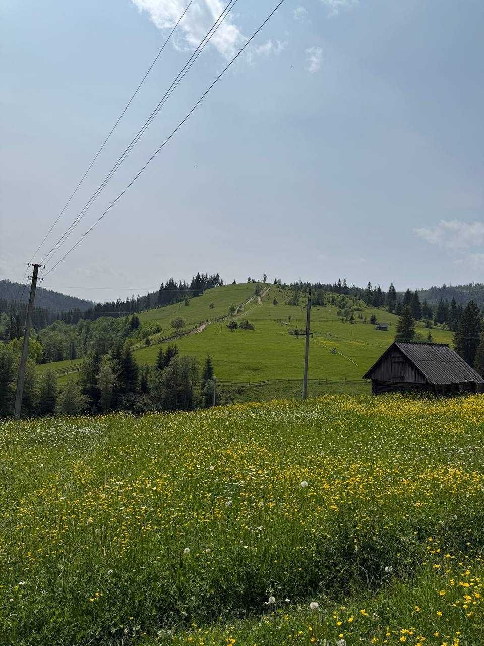 Топова пропозиція землі с.Поляниця (Буковель)