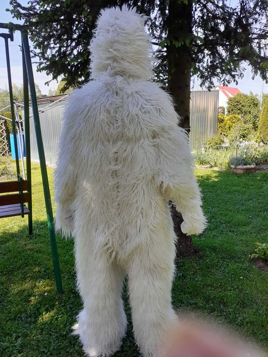 Kostium przebranie Mis