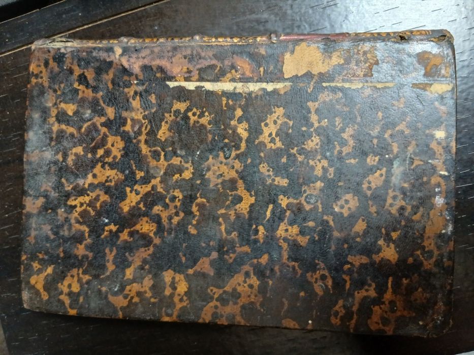 A agonia de Luis de Camões