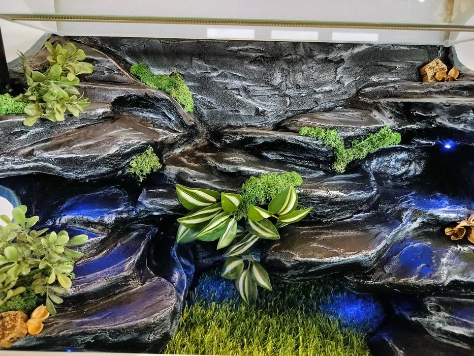Terrarium przejściowe dla węża zbożowego, pytona, TW49B3L, AquaWaves
