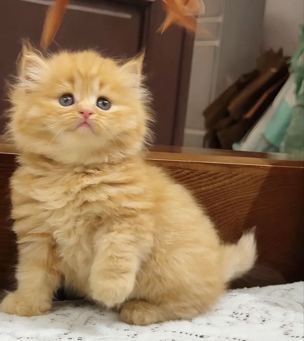 Очень миленький мальчишка