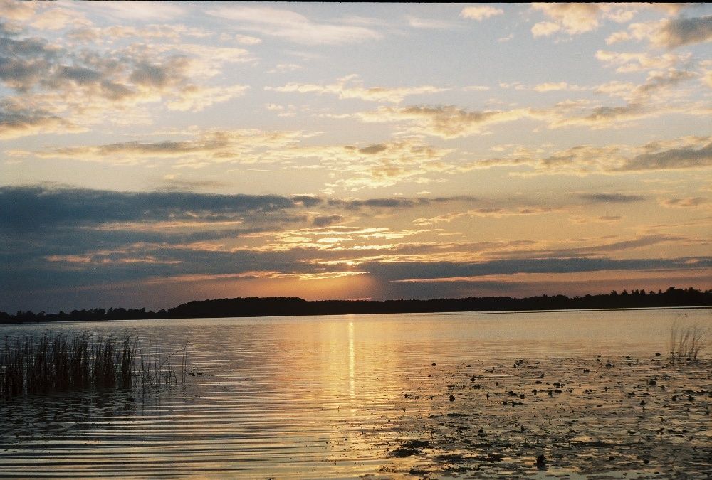 Земельна ділянка біля озера Нобель