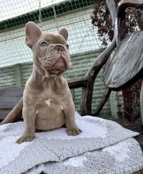 Міні коротенький хлопчик