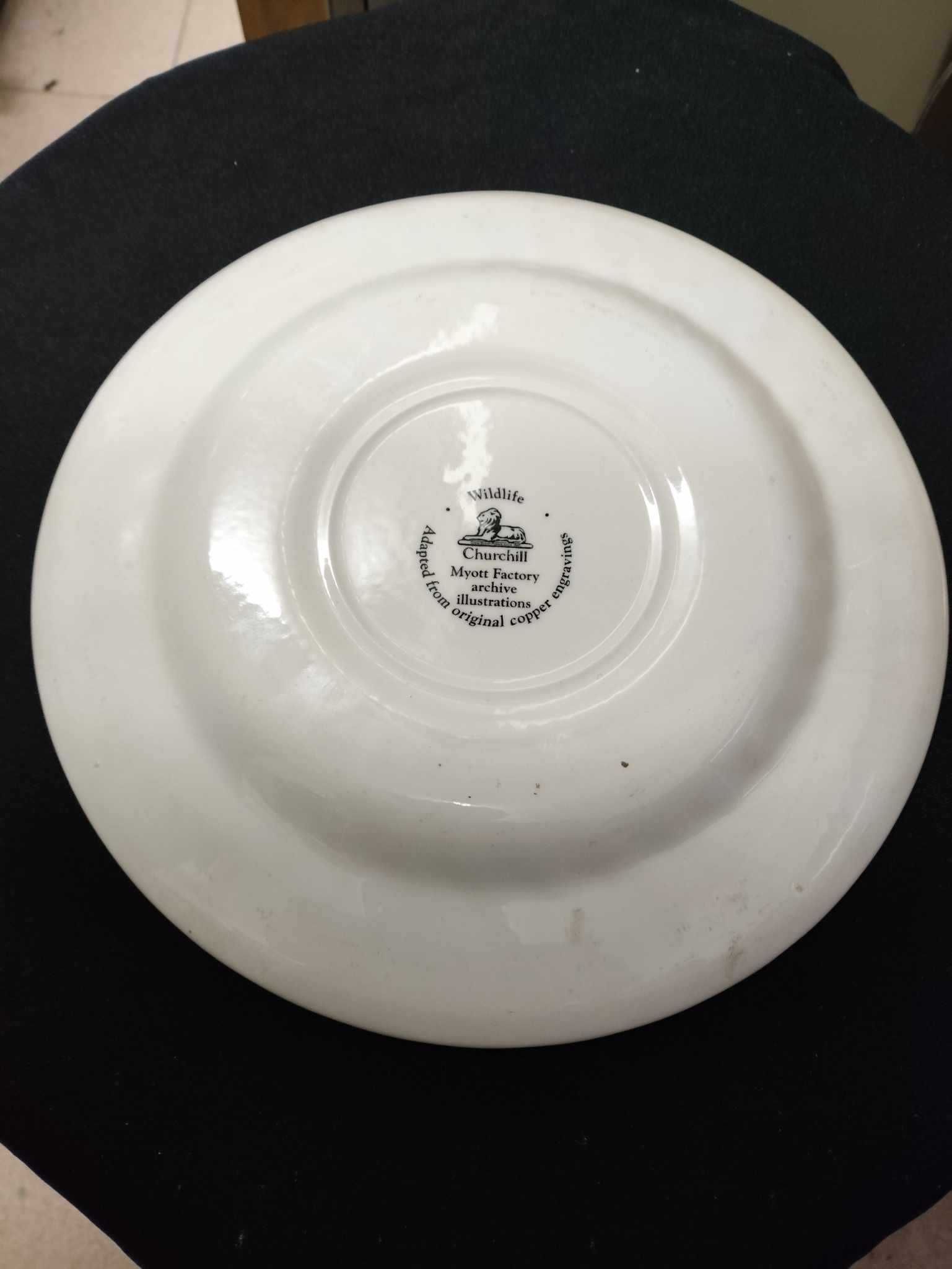 Prato decorativo vintage Wildlife Churchill Myott Factory