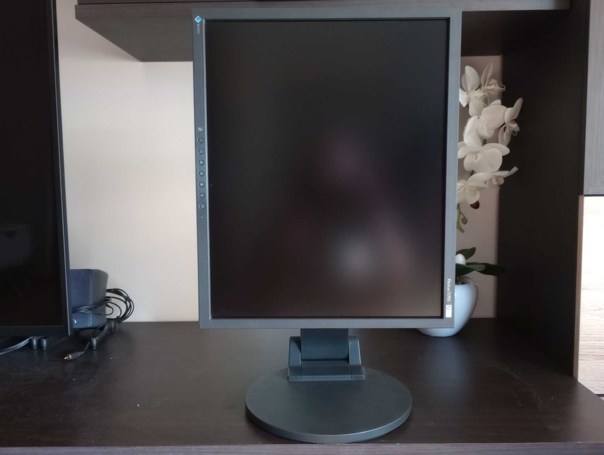 EIZO FlexScan S1931