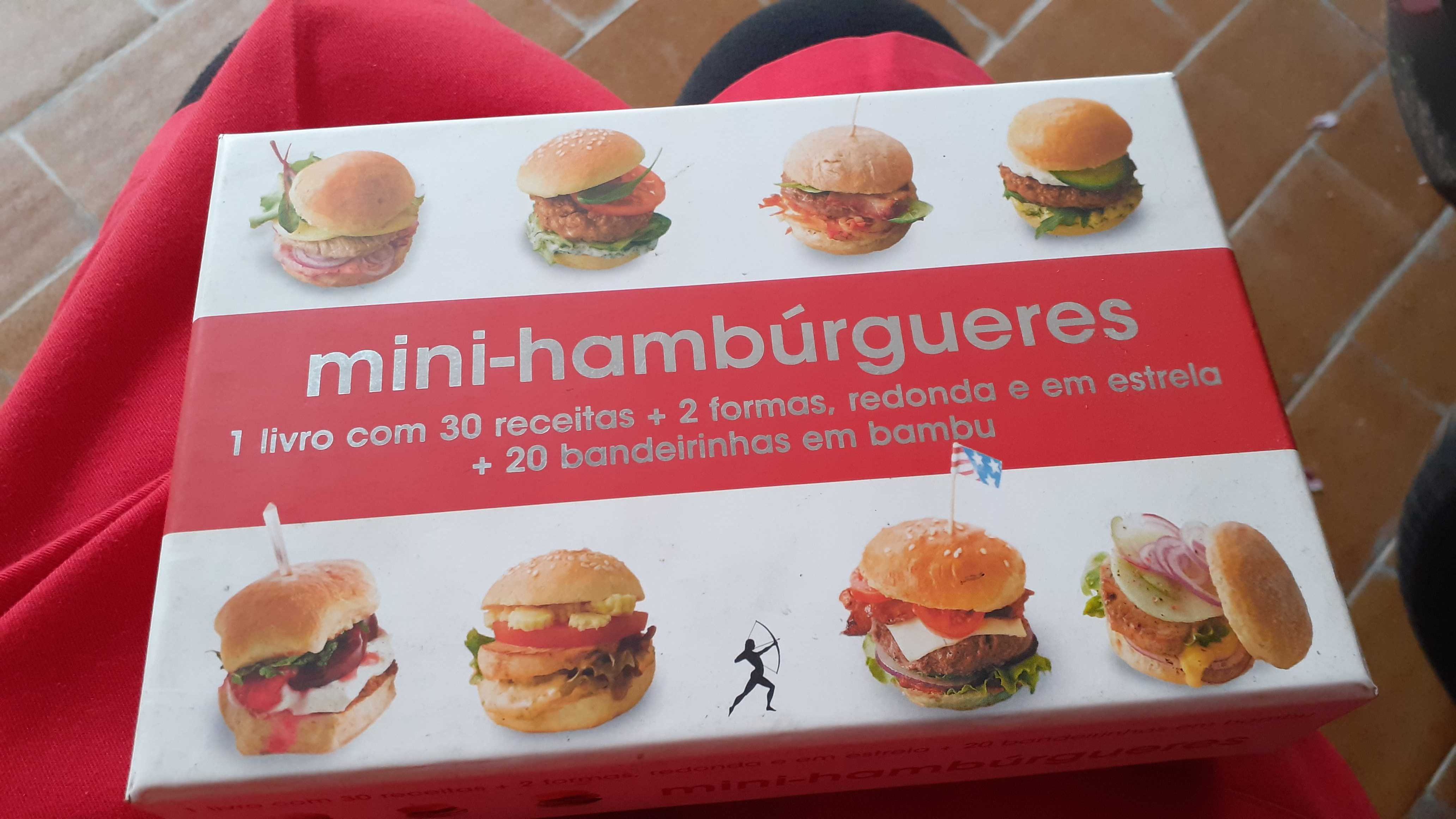 Livro Mini- hamburgueres, 2 cortadores e 20 bandeiras