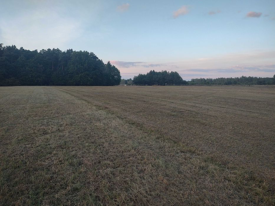 Sprzedam działkę budowlaną Stare Załubice