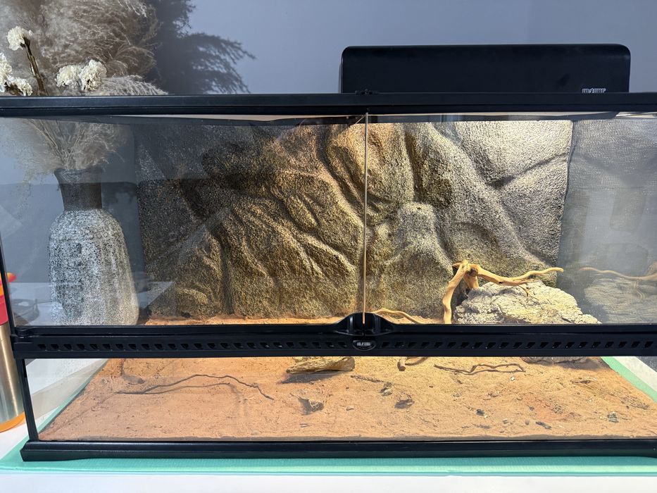 Terarium Eko terra