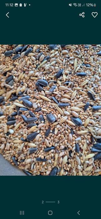 Pokarm zimowy Danimo do karmnika 20 kg, dla ptaków zimujących.