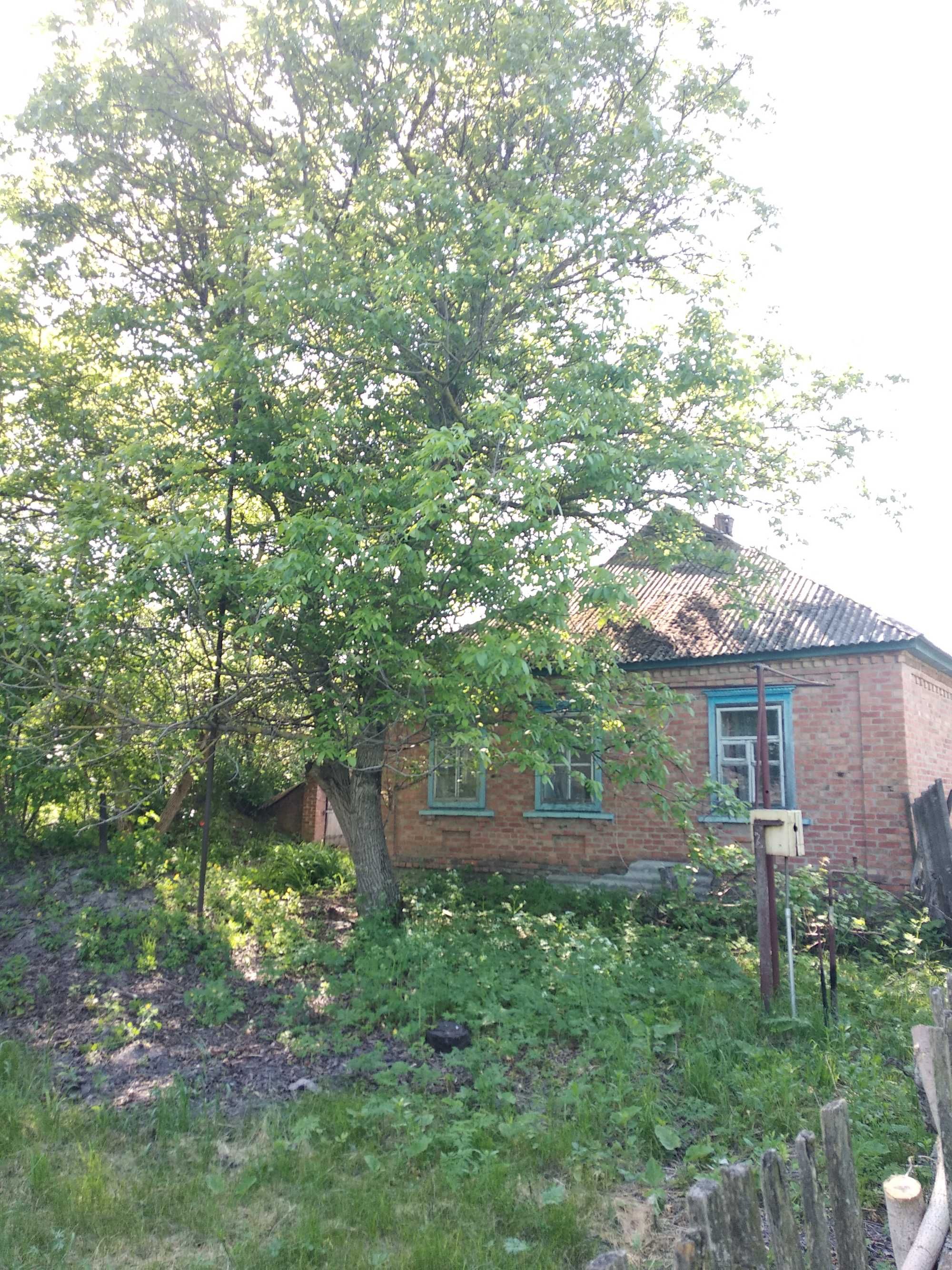 Продам будинок з ділянкою
