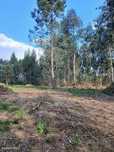 Terreno  para venda