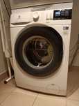Pralka Electrolux 9 kg EW6F429BP