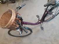 Rower Bocas Damski