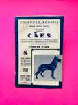 Animais: Cães: Raças e Características - Criação - Canis (cont.)
