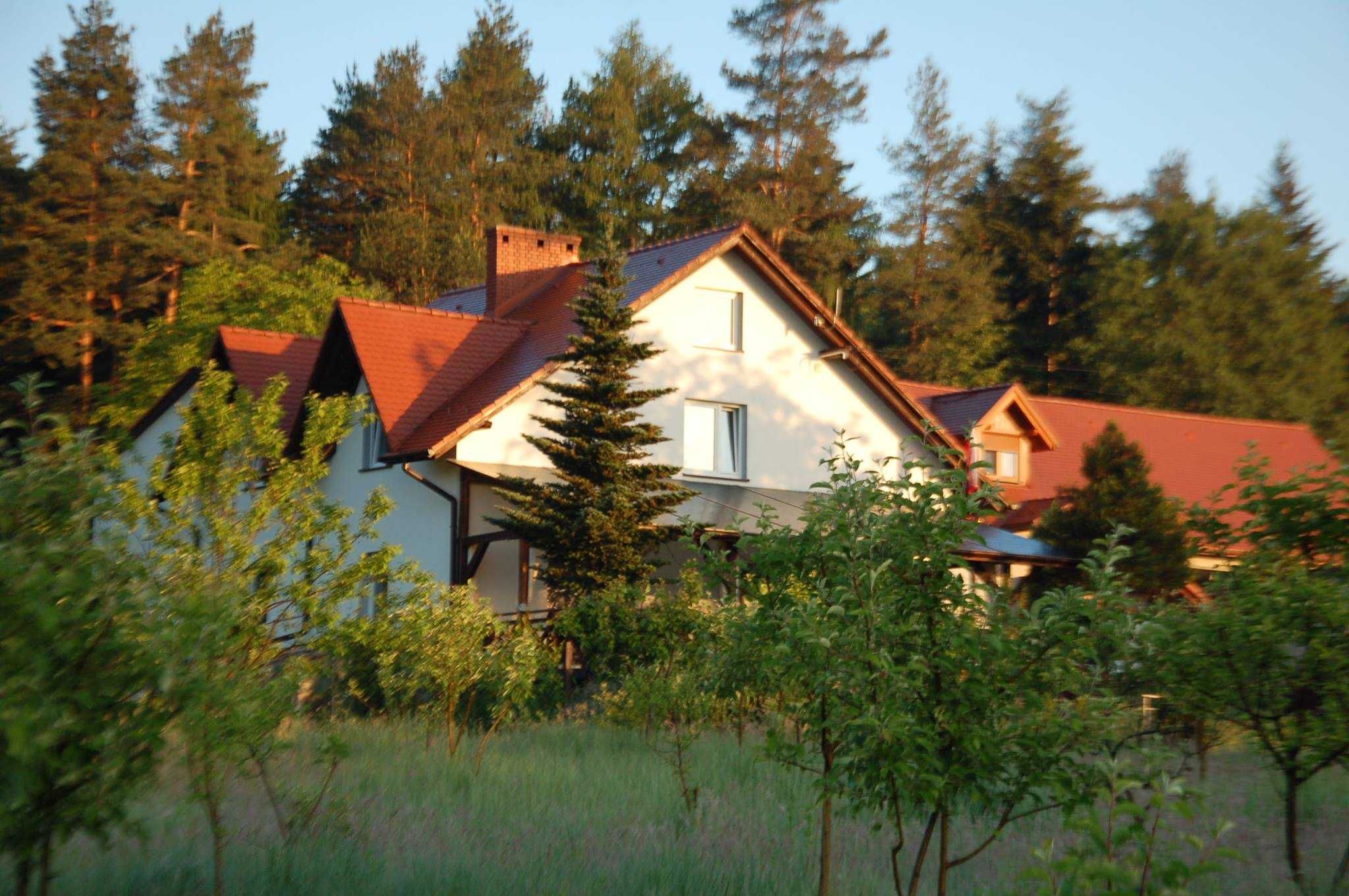 Dzisiaj Wolny POKÓJ KĘTY Weekend Jacuzzi SAUNA łazienka Boże Ciało