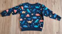 Bluza chłopięca w dinozaury 98/104