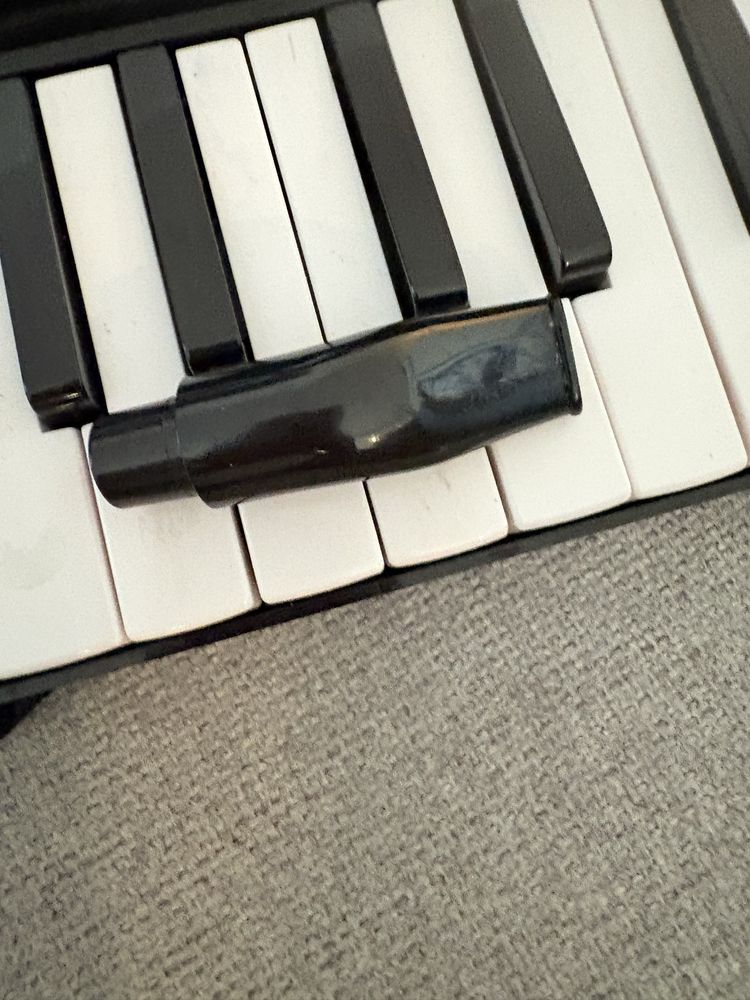 Melodica marca walther con estojo