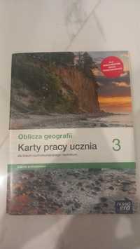 Marty pracy oblicza geografii 3