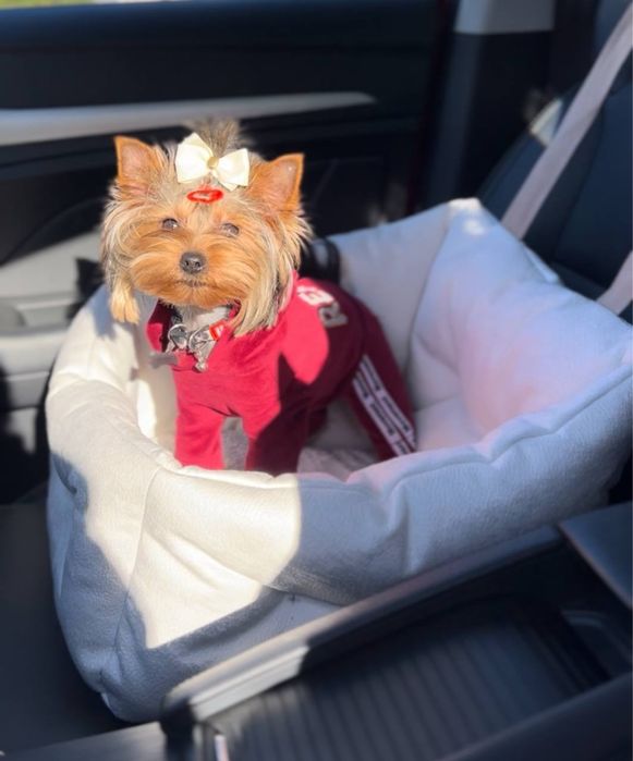 Лежанка в авто лежак автокресло для собак