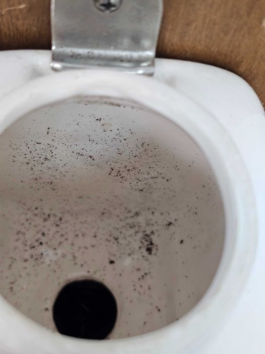 Stary młynek do kawy – ścienny, ręczny, retro