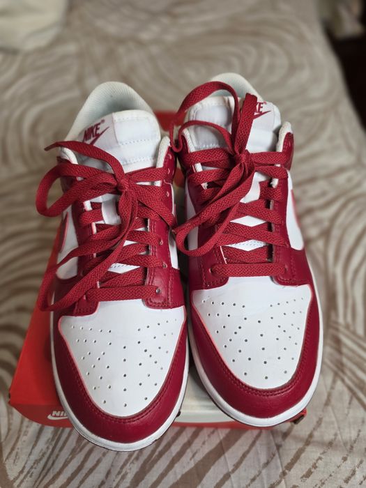 Nike Air Dunk Low Next Nature