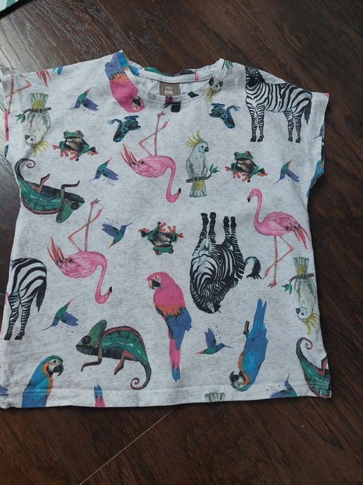 T-shirt koszulka roz 110