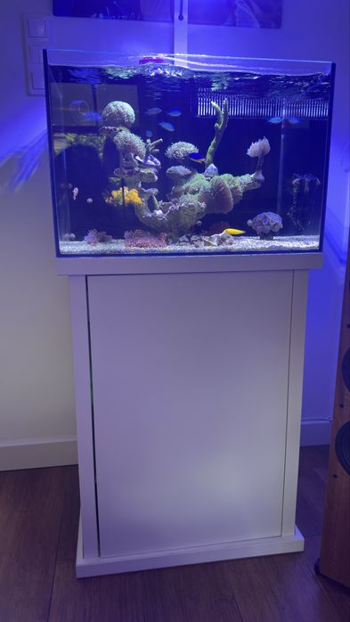 Zestaw Akwariowy Octopanel 120 - Akwarium 120 z panelem + biała szafka