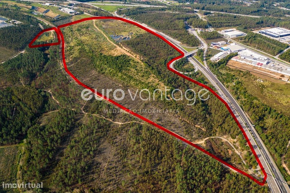 Terreno Destinado A Industria - Barosa - Leiria