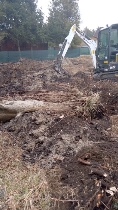 Prace ziemne Bobcat E19