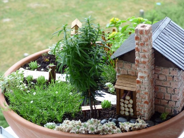 Mały ogródek w doniczce - domek z cegiełki