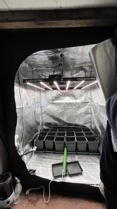 Estufa - Kit de Cultivo Indoor