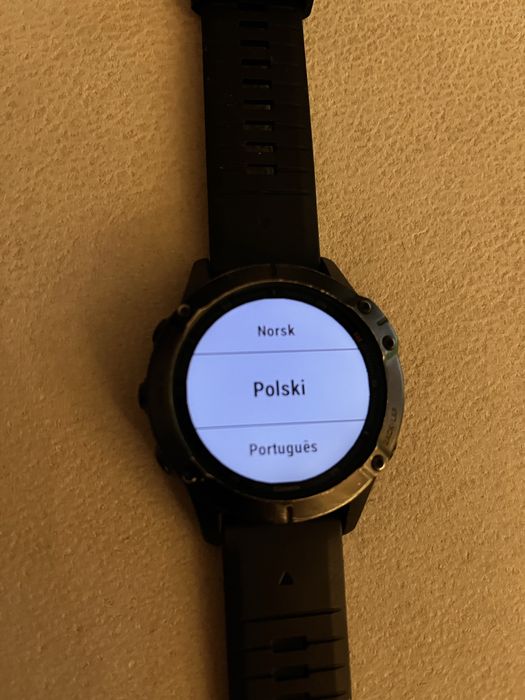 Garmin fenix pro 6