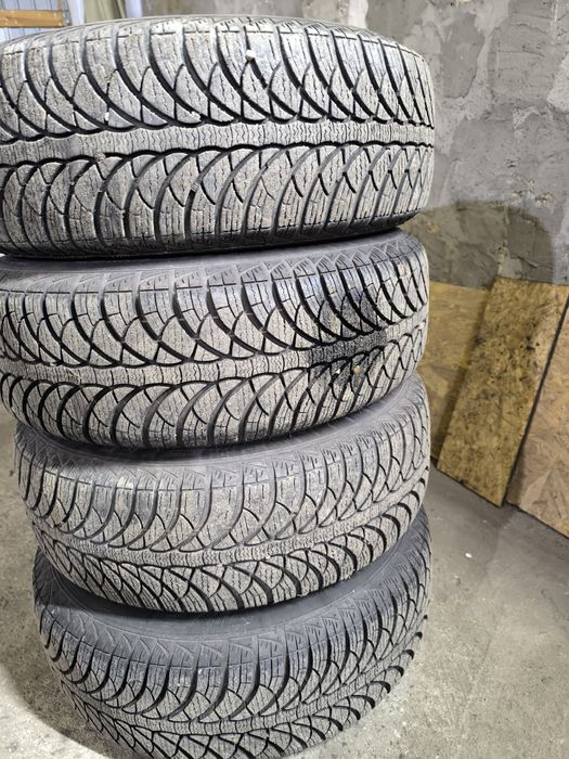 Гума зимова .фулда.