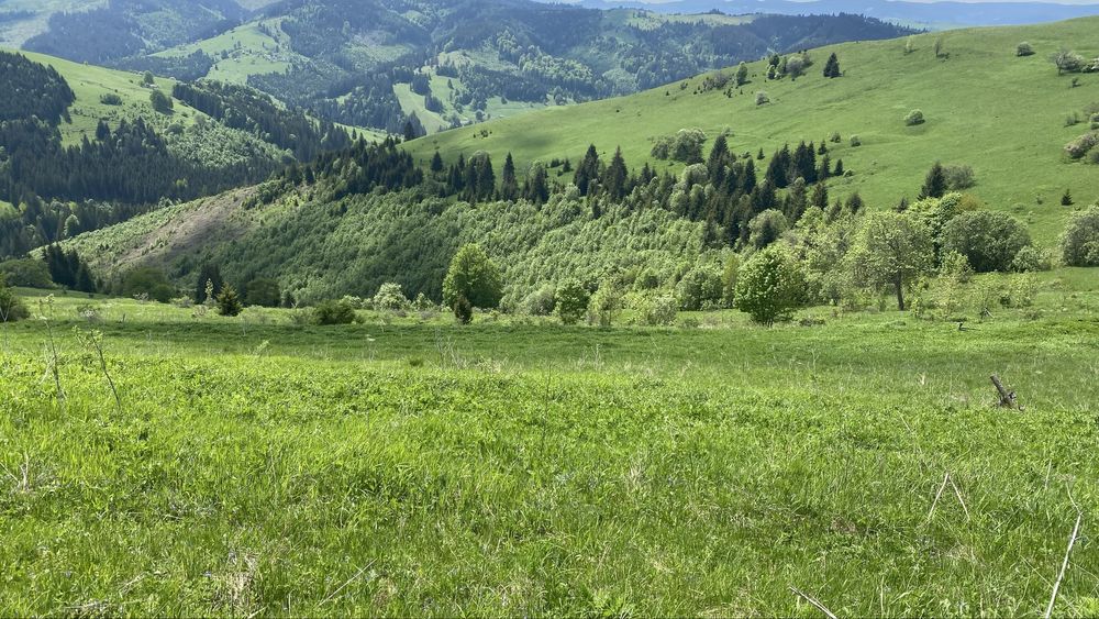 Будинок в горах з великою земельною ділянкою