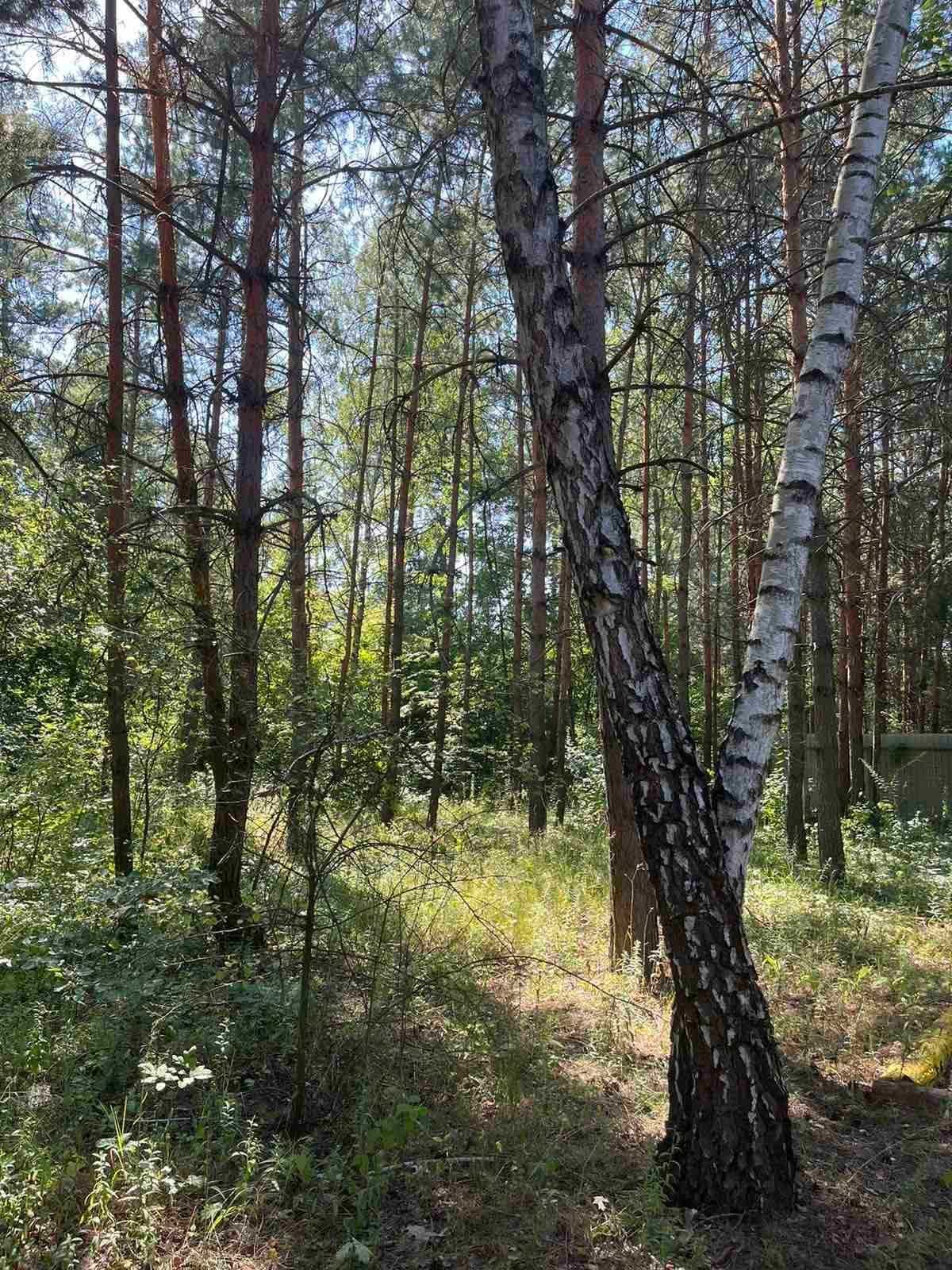 Фастівський р-н, с. Ярошівка, дачний кооператив, будинок - 120 кв.м