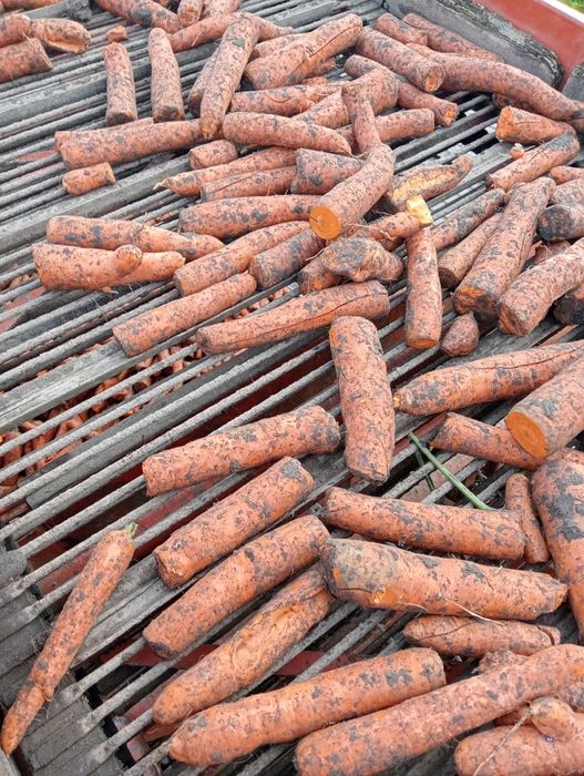 Marchew dla zwierząt, koni, bydła