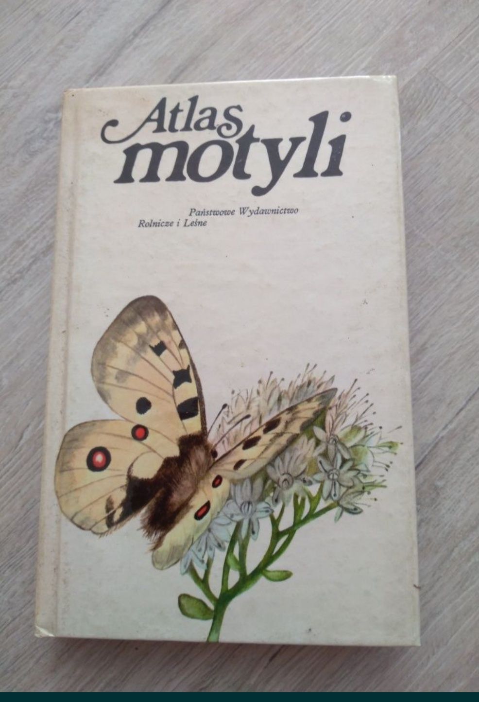 Atłas motyli. PWRiL